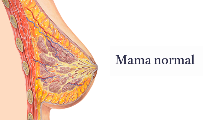 mama-normal