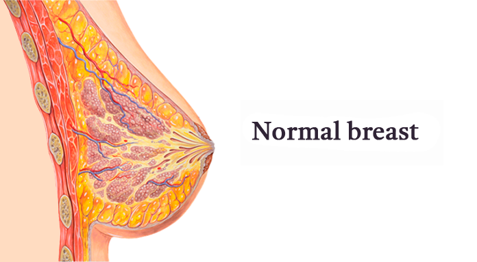 normal-breast